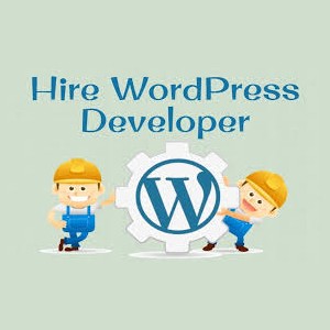 hire wordpress developer